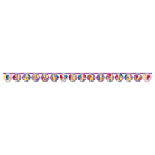BANNER SHIMMER & SHINE